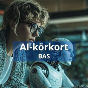 AI-KÖRKORT